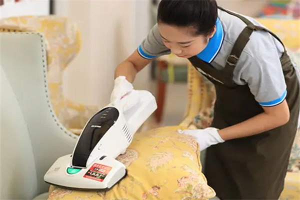 小黄蜂家政公司加盟费