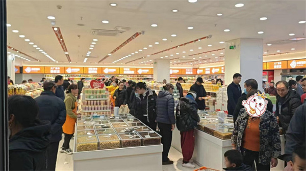 小猫驾到零食加盟费