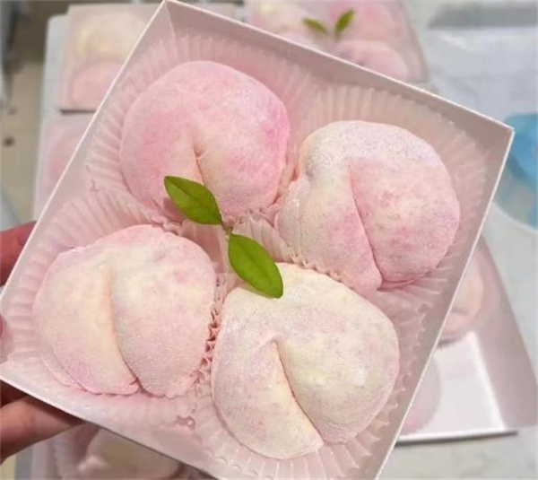 大西叽思酿加盟费