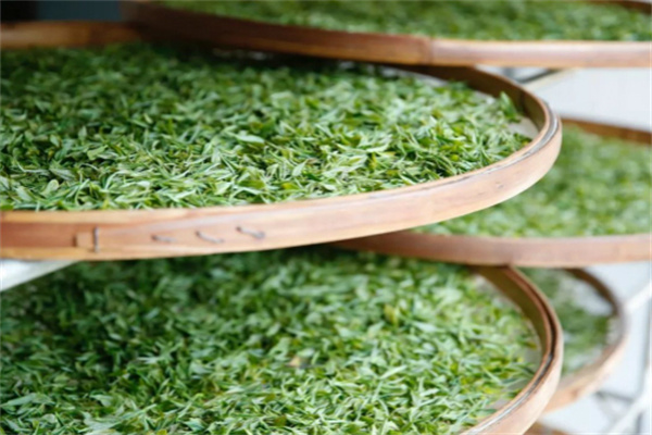 益善茶业加盟费