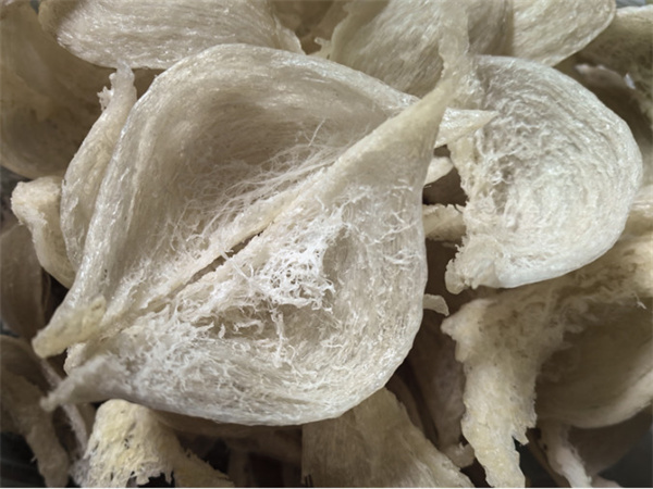 轻燕燕窝加盟费