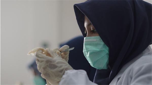 轻燕燕窝加盟费