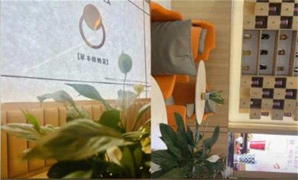 华佗华一堂中药茶饮加盟费