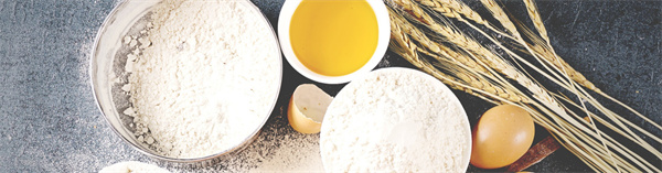 美丽家族加盟费