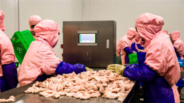 佳佳基汉堡加盟费