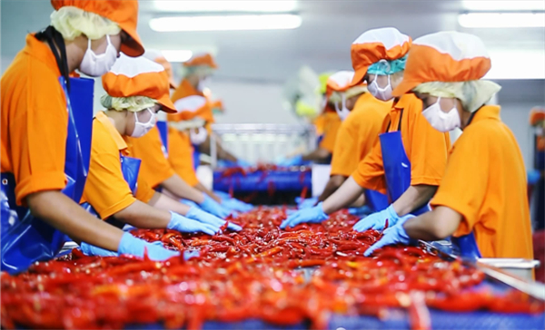 巴尔郎鸡公煲加盟费