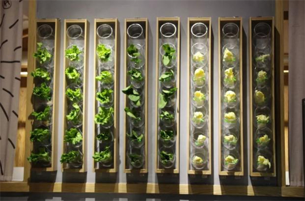 青蔬麻辣烫加盟费