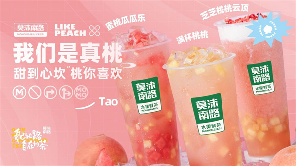 莫沫南路加盟费