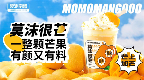 莫沫南路加盟费