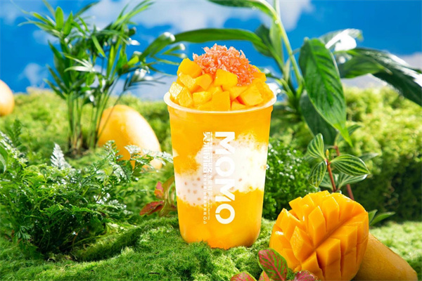 莫沫南路加盟费