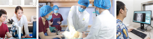 瑞鹏宠物医院加盟费