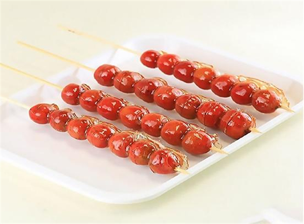 丁大毛冰糖葫芦加盟费