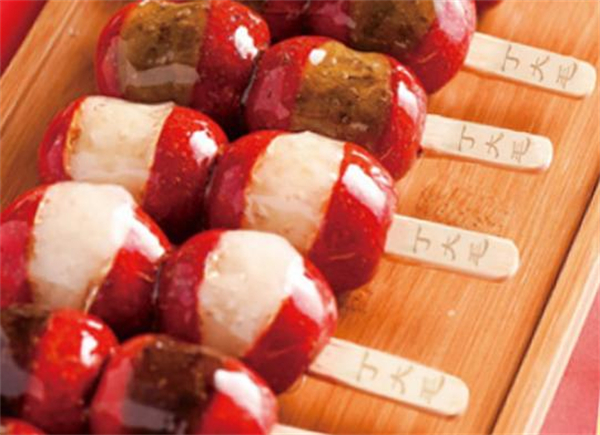 丁大毛冰糖葫芦加盟费