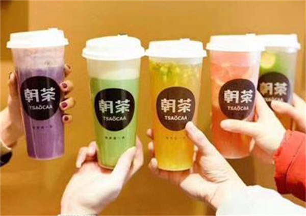 朝茶加盟费