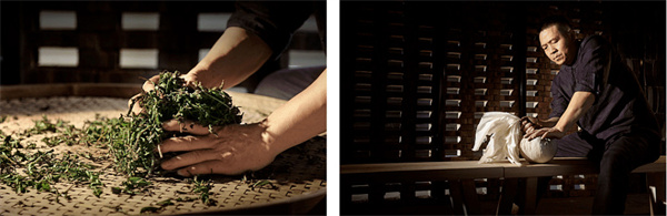 茶醉桃溪奶茶加盟费