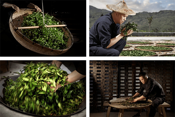 茶醉桃溪奶茶加盟费