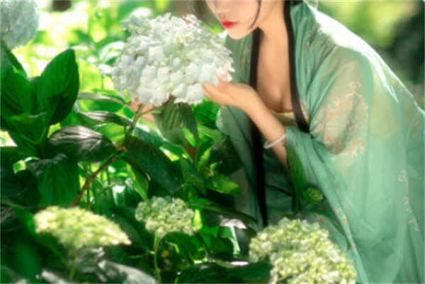 诺杯烧仙草加盟费