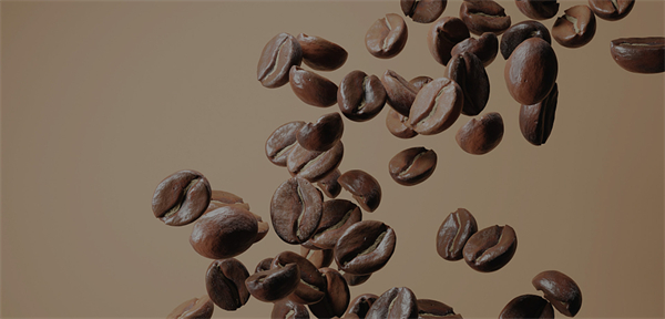 九科站奶茶加盟费