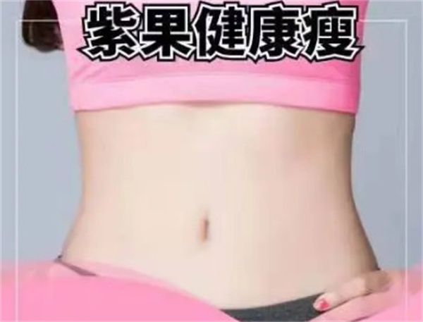 紫果瘦身加盟费