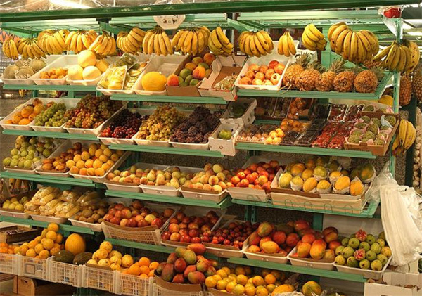 红酒果品加盟费