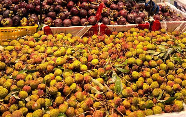 优廉果业加盟费