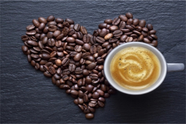 啡尝给力加盟费