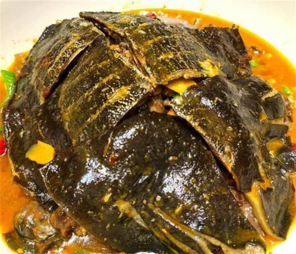 文王甲御膳甲鱼加盟费