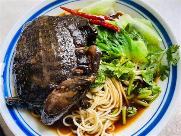 文王甲御膳甲鱼加盟费