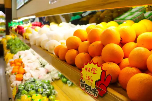 标果水果加盟费