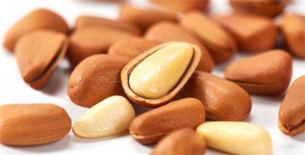 零食焙焙加盟费