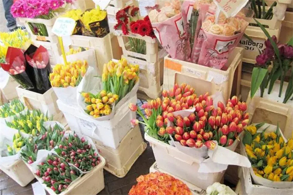 花思忆鲜花加盟费