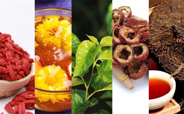 中药茶饮加盟费