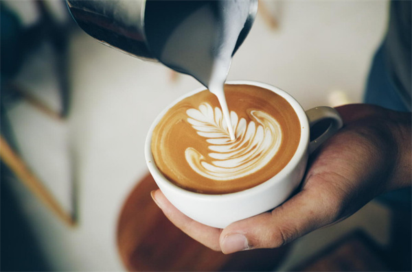 本手咖啡加盟费