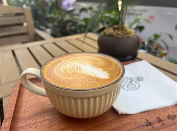 本手咖啡加盟费