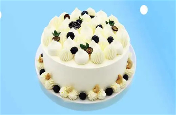 唐乐蛋糕加盟费