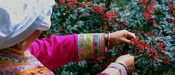 重庆德庄火锅加盟费