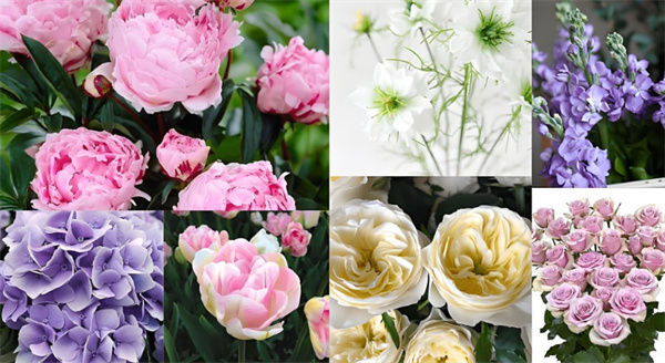 花间密码加盟费