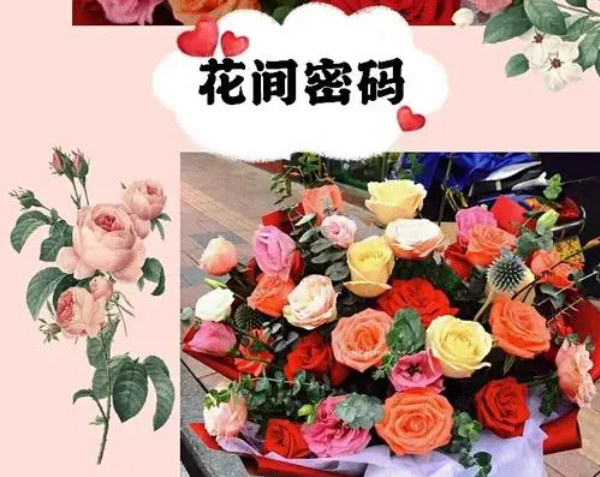 花间密码加盟费