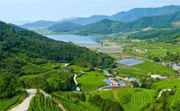 巡蜜时光加盟费