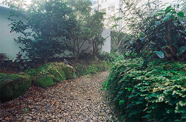 吃茶三千加盟费