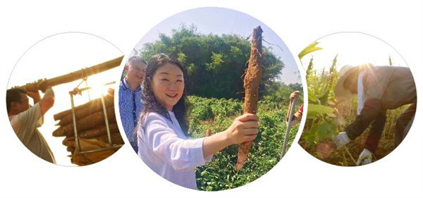 五谷磨房加盟费