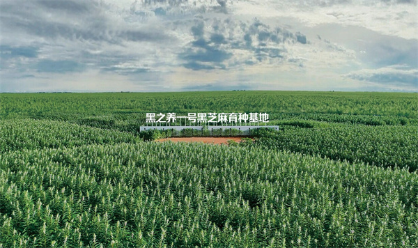 五谷磨房加盟费