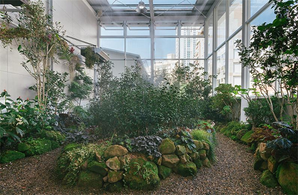 吃茶三千加盟费