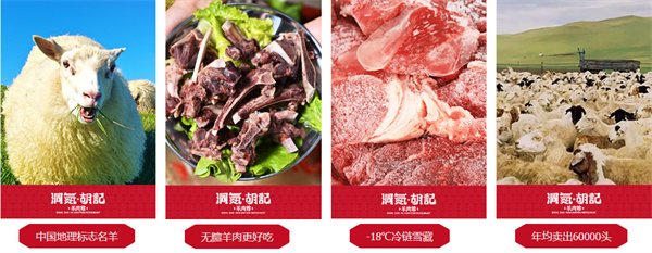 洞氮胡记羊肉火锅加盟费