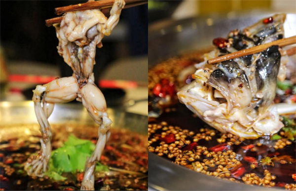 廖姥爷美蛙鱼头加盟费