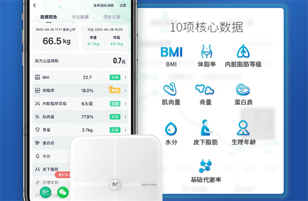 瘦吧减肥加盟费