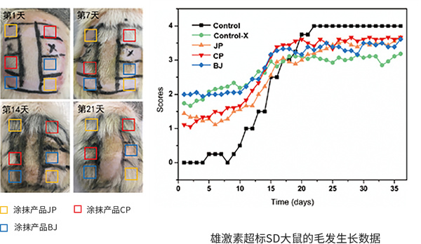 黑奥秘脱发白发中心加盟费