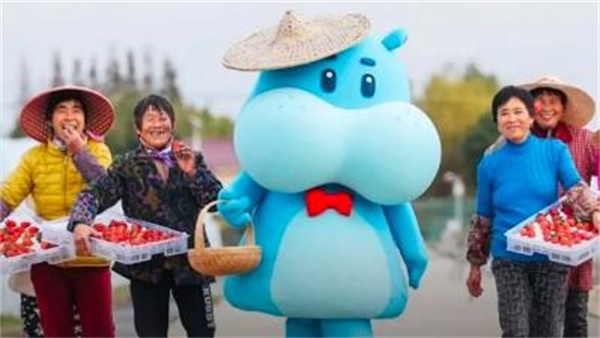 盒马生鲜超市加盟费