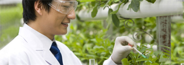 真功夫中式快餐加盟费