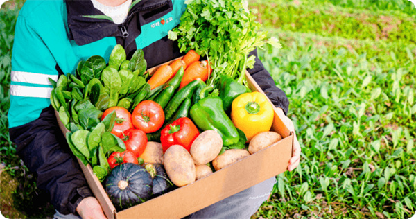 叮咚买菜加盟费